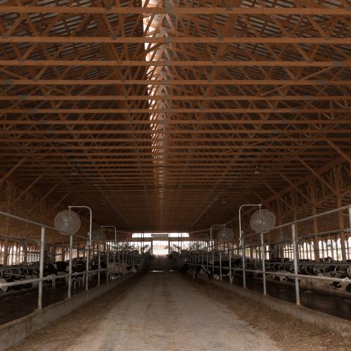 Location 4 manure system